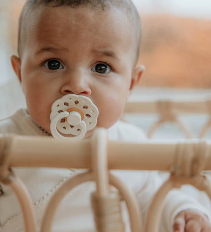 2 бр. Биберони BIBS Boheme, Blossom/Dusky Lilac, 0-6 месеца