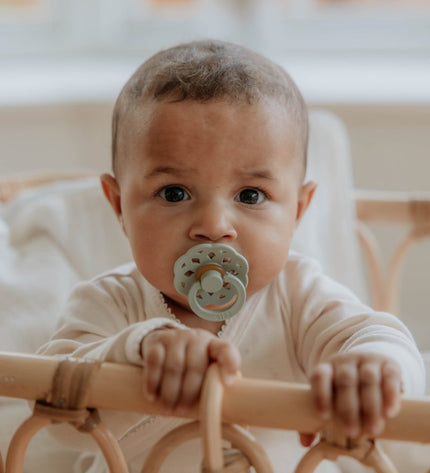 2 бр. Биберони BIBS Boheme, Fossil Grey/Mauve, 0-6 месеца