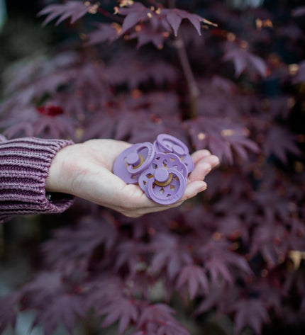 2 бр. Биберони BIBS COLOUR Violet Sky/Mauve 0-6 месеца