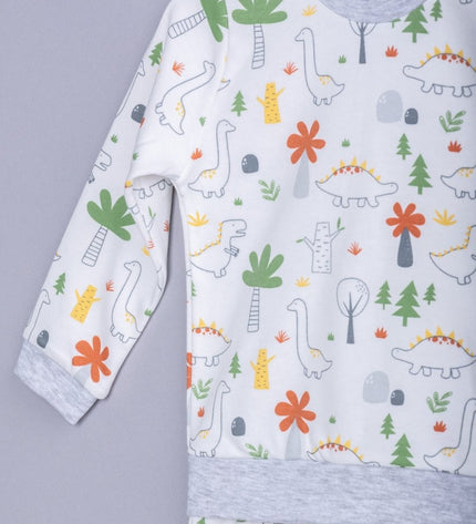 Бебешка пижама с дълъг ръкав „Динозаври“, 68-80см